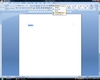 Word2007̉